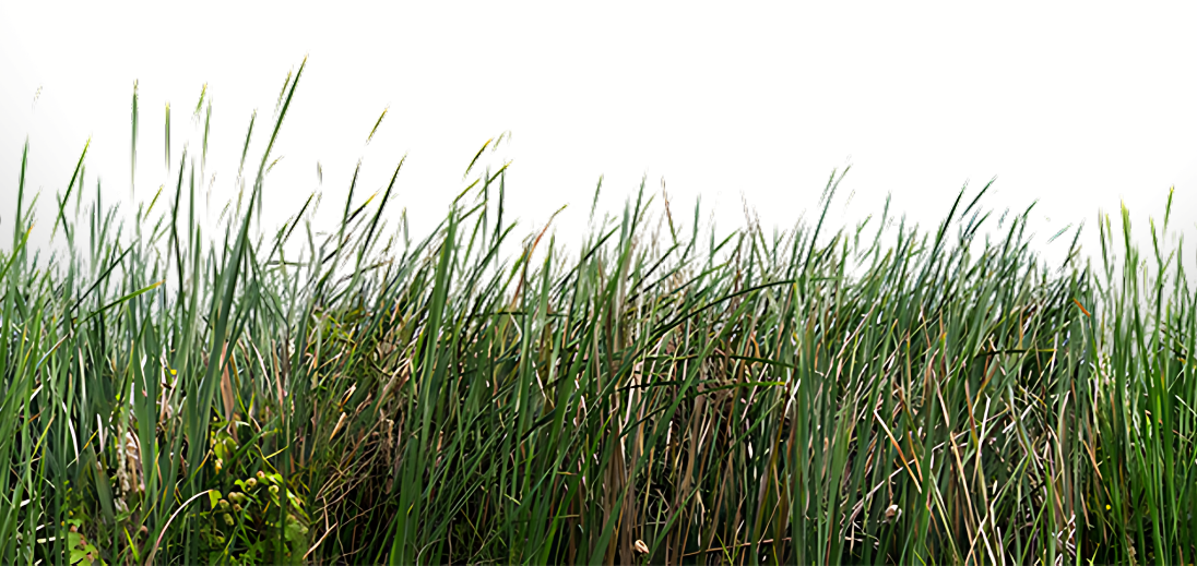 blog-cover-web-page--1-.png
