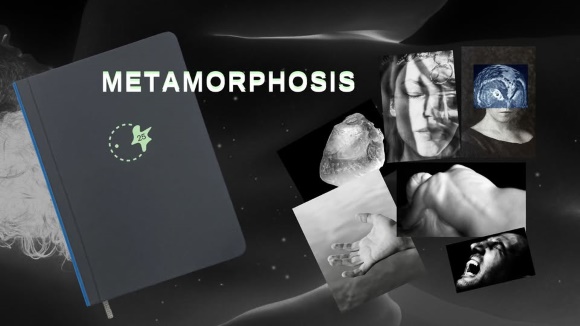 Metamorfozes_580.jpg