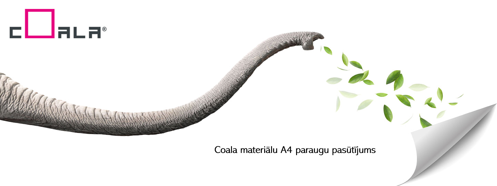 Coala-samples_847.png