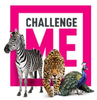 Coala-Challenge-me-logo.jpg