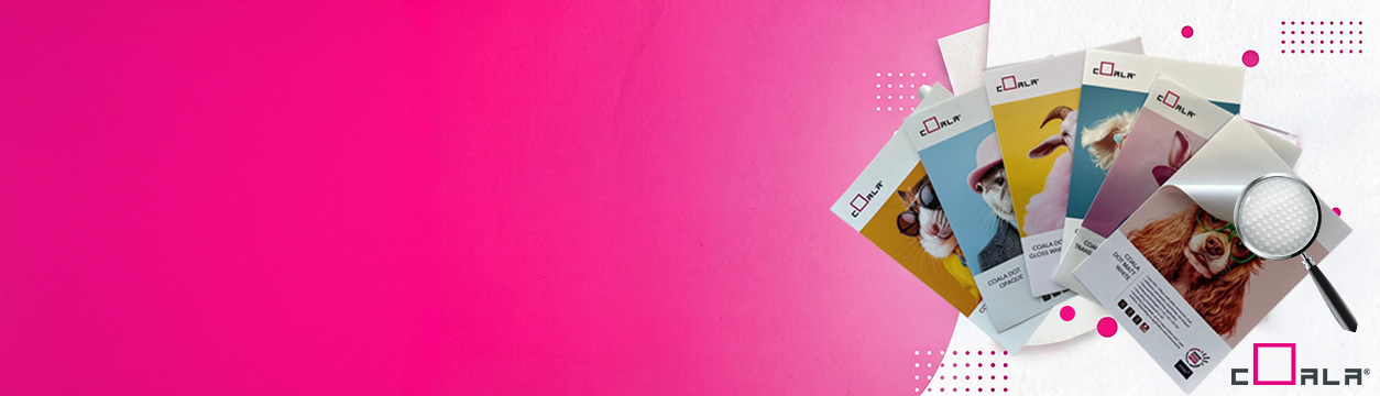 COALA-DOT-caroussel-desktop-eshop-1254x360.jpg