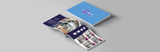 coala-windows-decor-form-banner.jpg