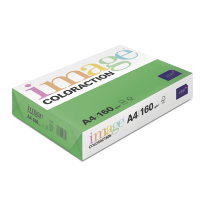 Image Coloraction