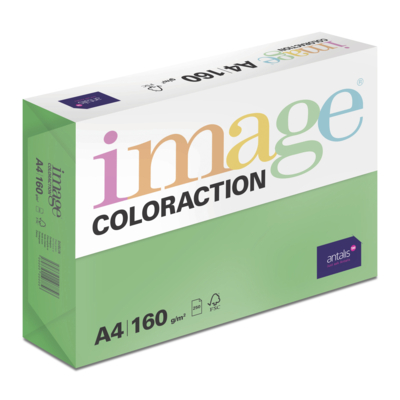 Image Coloraction