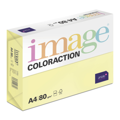 Image Coloraction