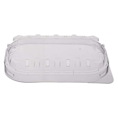 Plastmasas iepakojums ogām