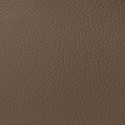 Coala Interior Film Textile