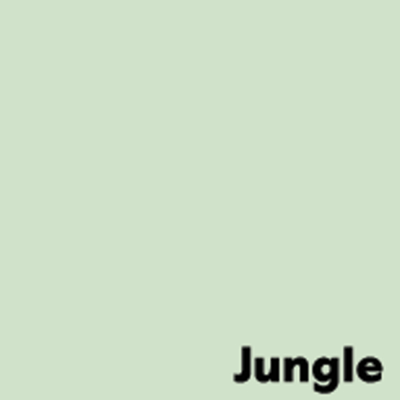 Image Coloraction