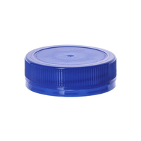 Plastmasas pudeles