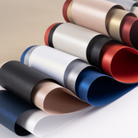 Curious Metallics aploksnes