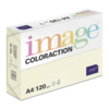 Image Coloraction