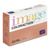 Image Coloraction